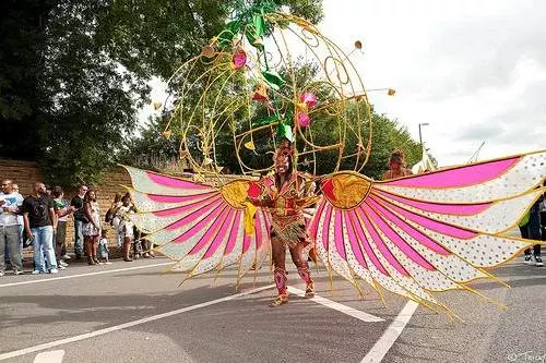 Birdcage Costume