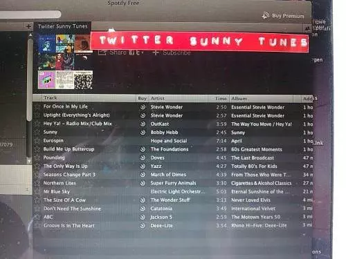 sunny tunes