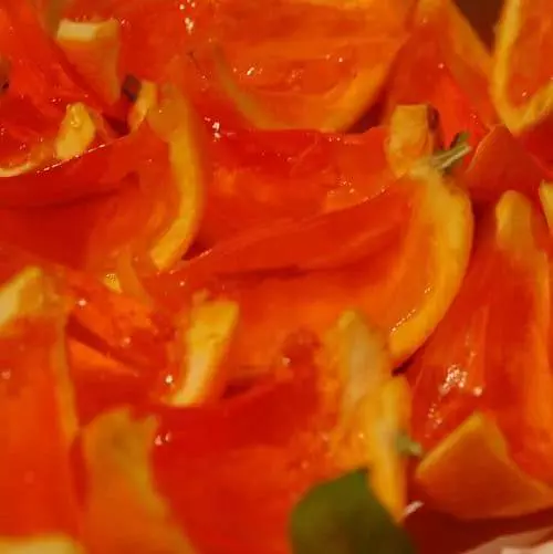 jellied oranges Photo Credit Aspinall Ink