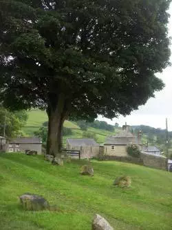 Settle Green