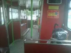 citysightseeing