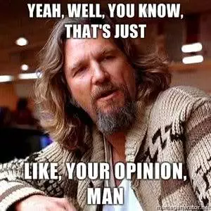 opinion