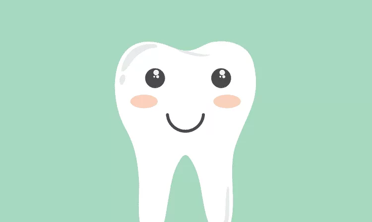 tooth